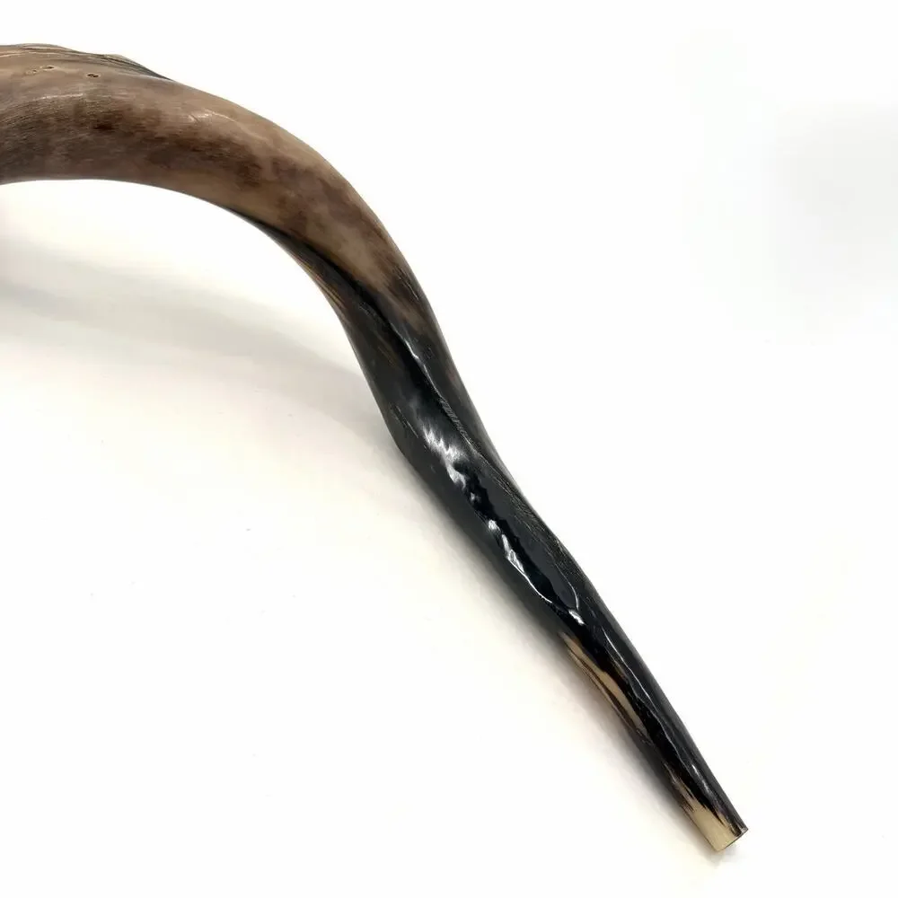 Unbranded kosher kudu